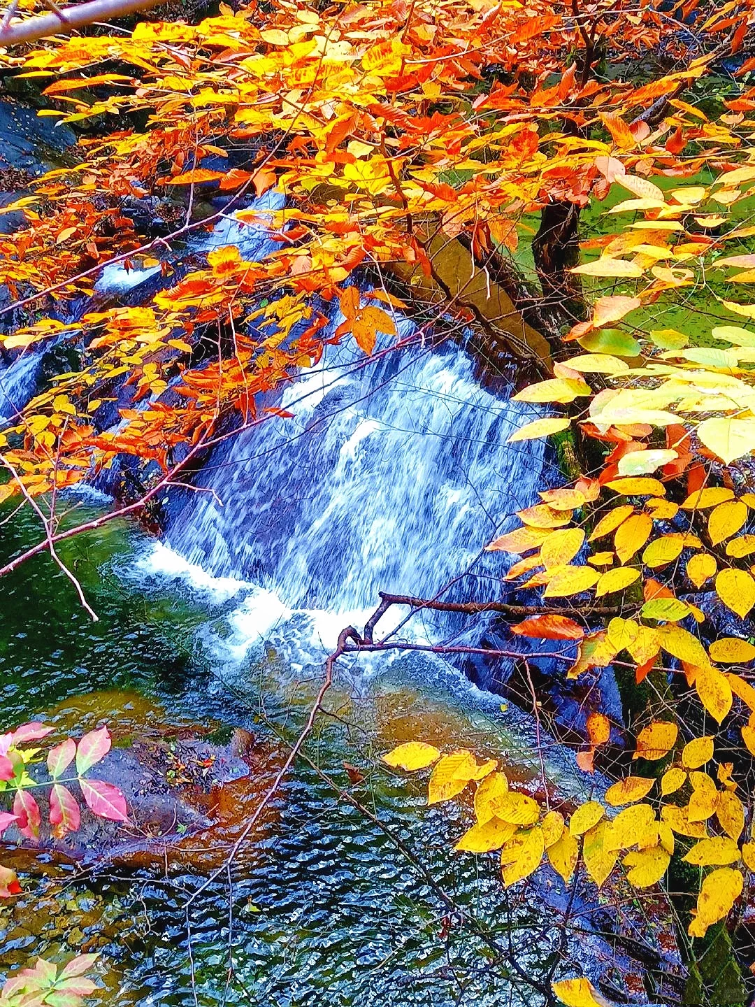10月太白山赏秋天花板🍁景区1日游玩指南