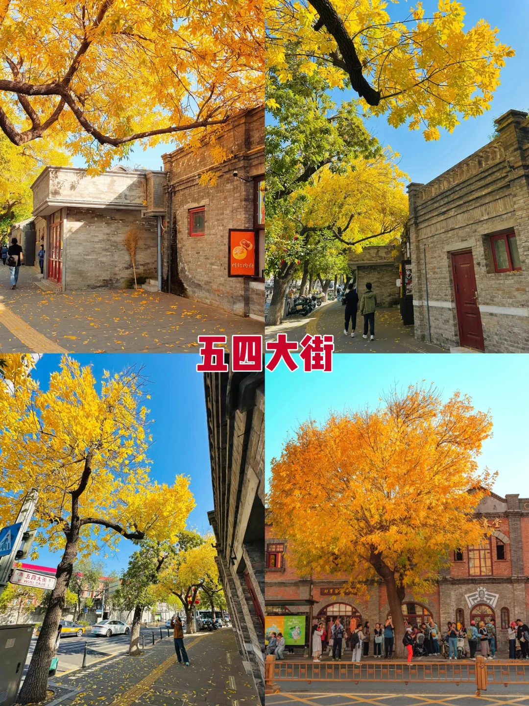 2025北京赏秋8大打卡地！