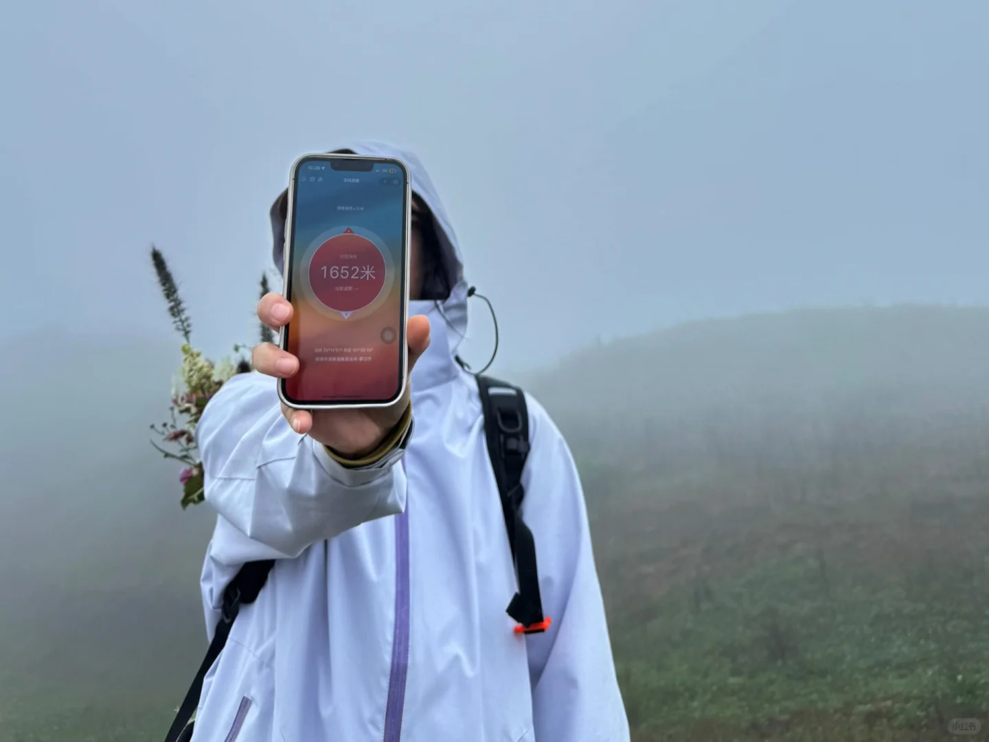 🌧️ 雨天螺丝壳才是真·仙境！