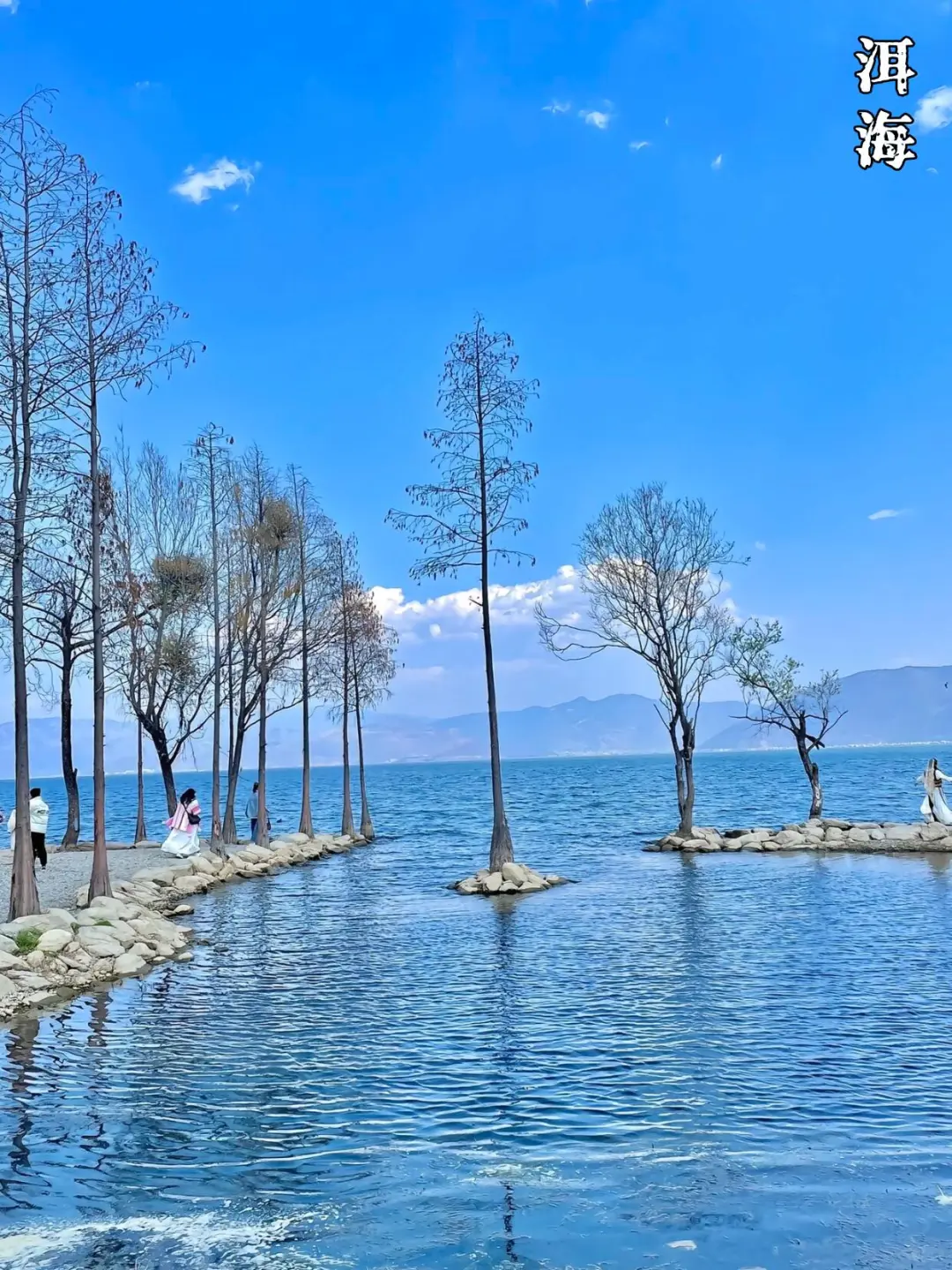 不敢相信❗去云南跟小团💯纯玩游太省心了