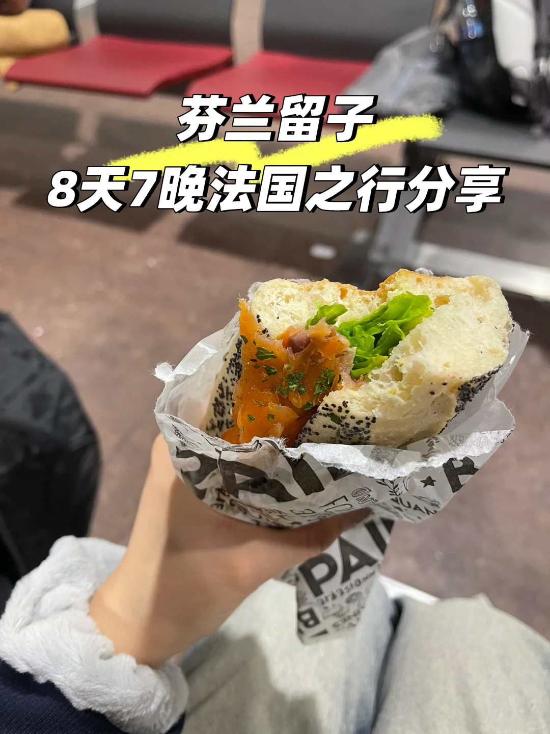 🇫🇮留子8天7晚巴黎尼斯旅游分享(行前篇)