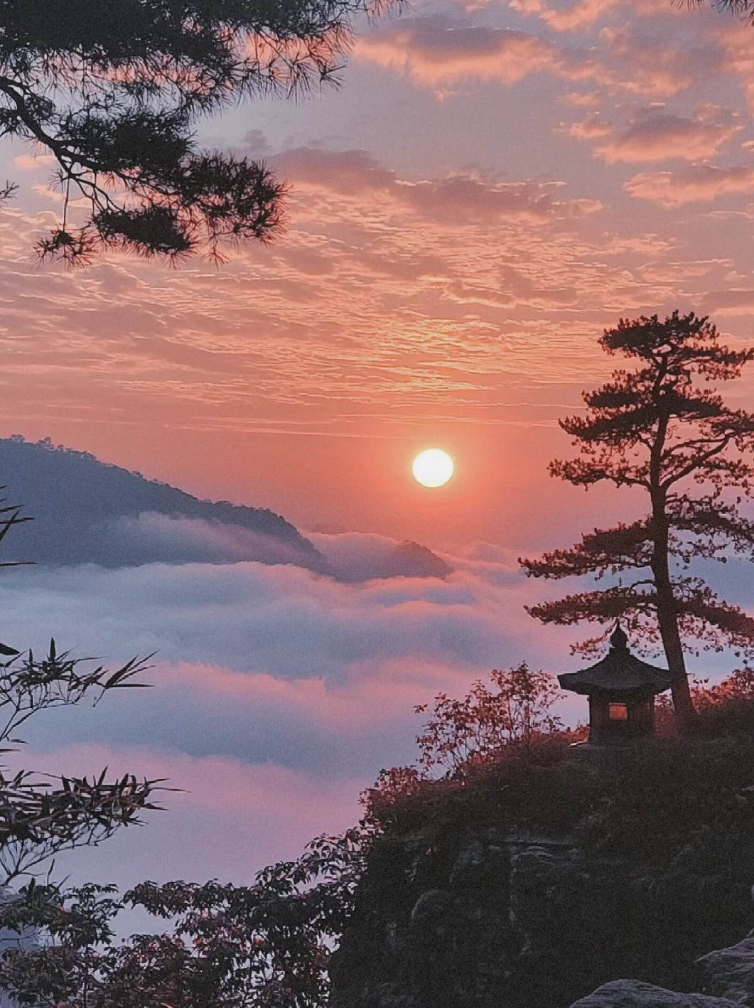 🌅日出云海，仙境之旅🌄