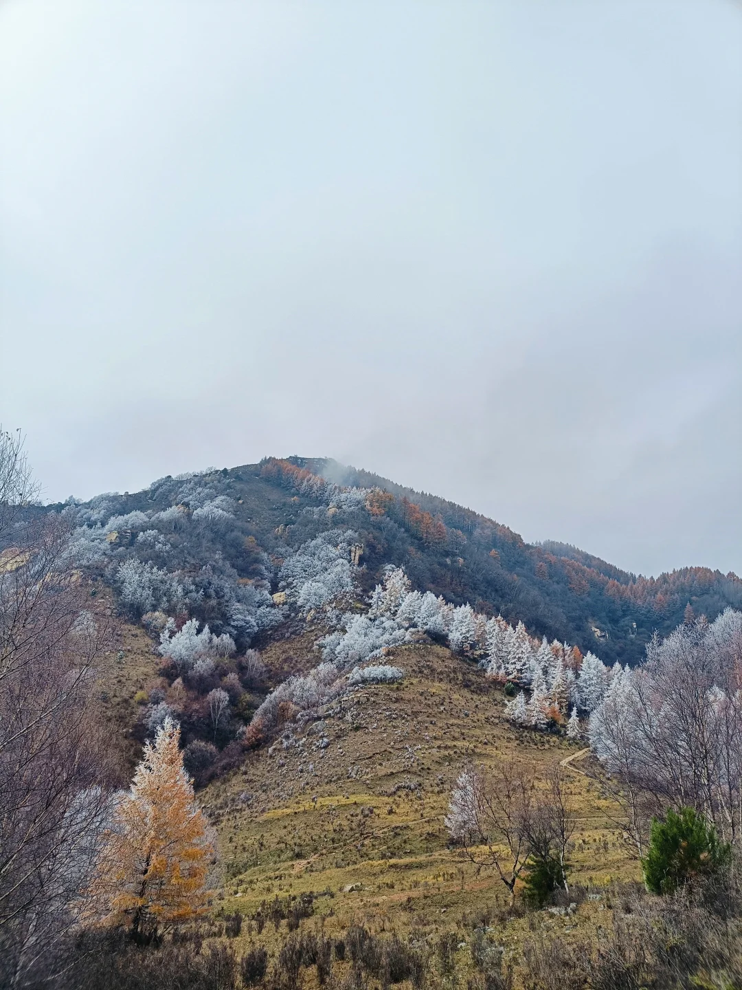 不是大兴安岭，是石家庄！