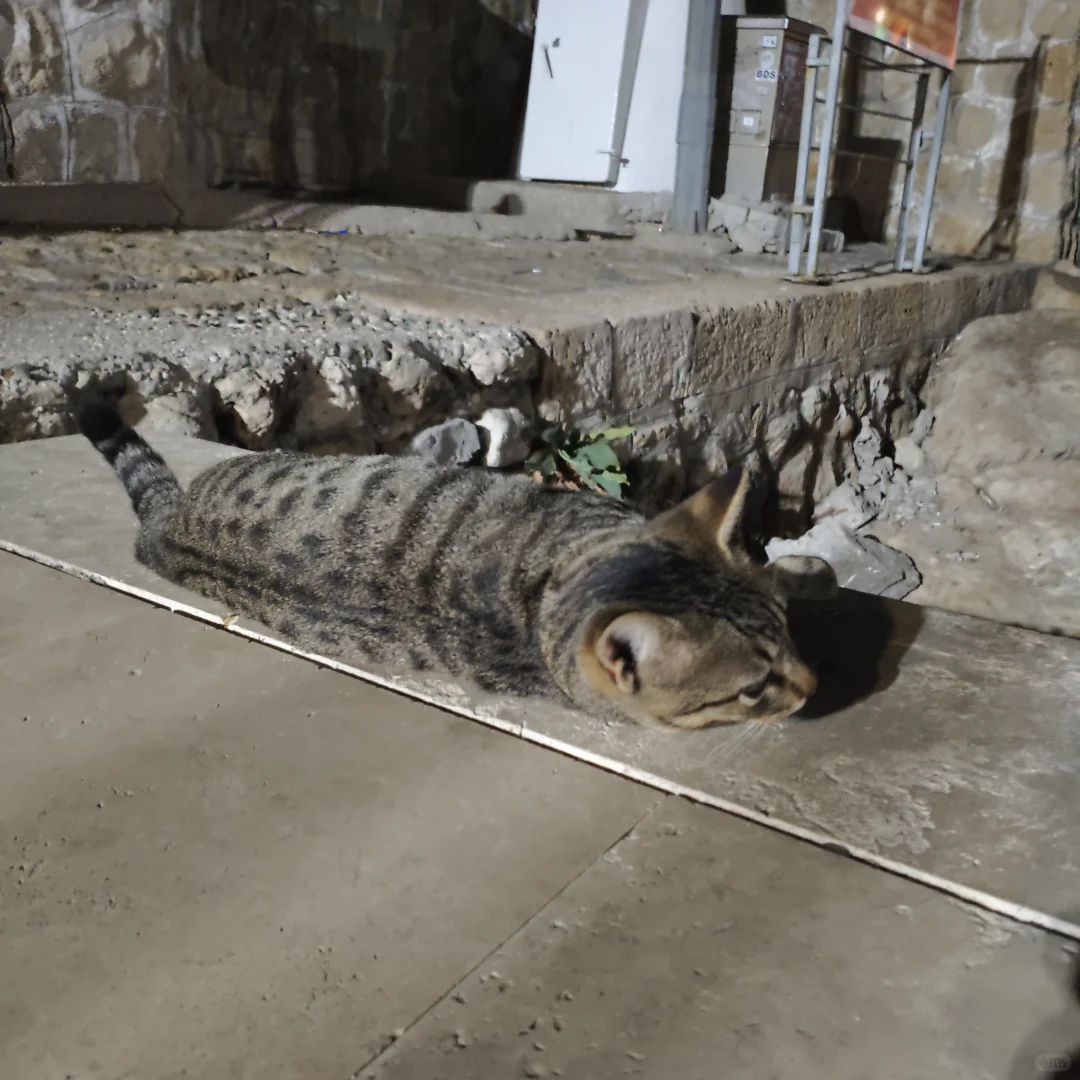 国外城市评价之🇹🇷安塔利亚