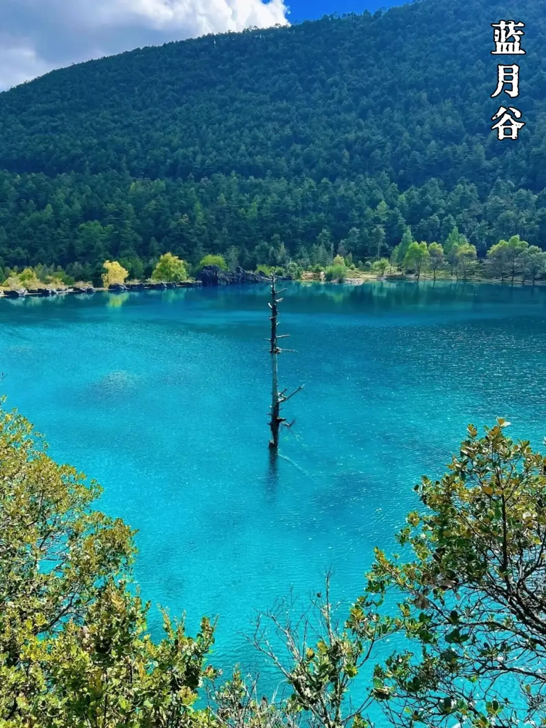 不敢相信❗去云南跟小团💯纯玩游太省心了