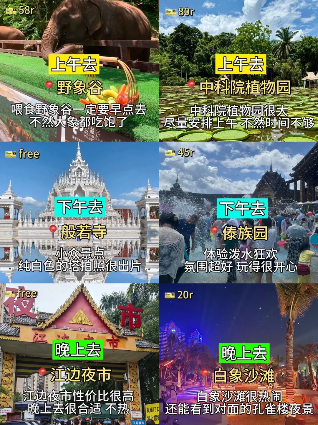 📍西双版纳已回!我的建议是……(全攻略)