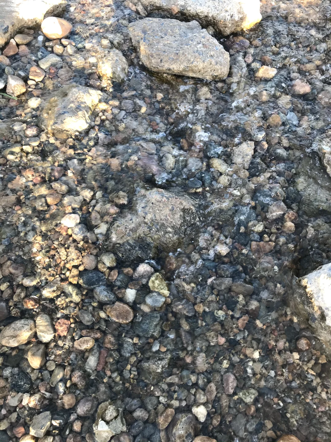 石家庄🚗1h|带娃连玩两个周末的宝藏玩水地