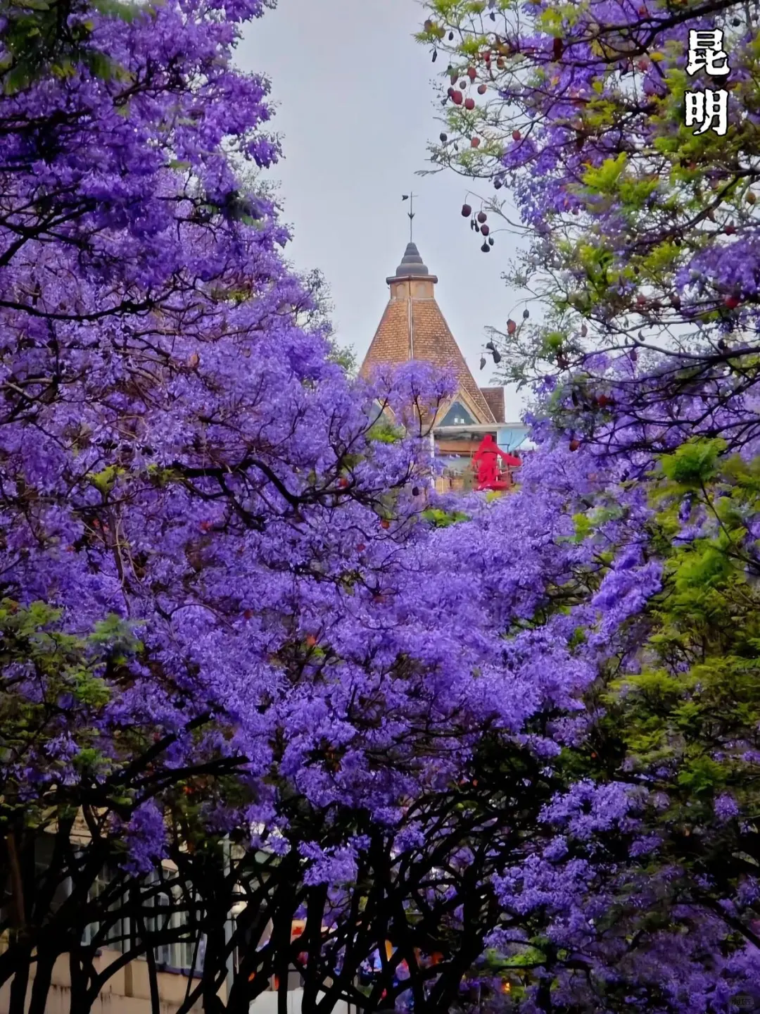 不敢相信❗去云南跟小团💯纯玩游太省心了