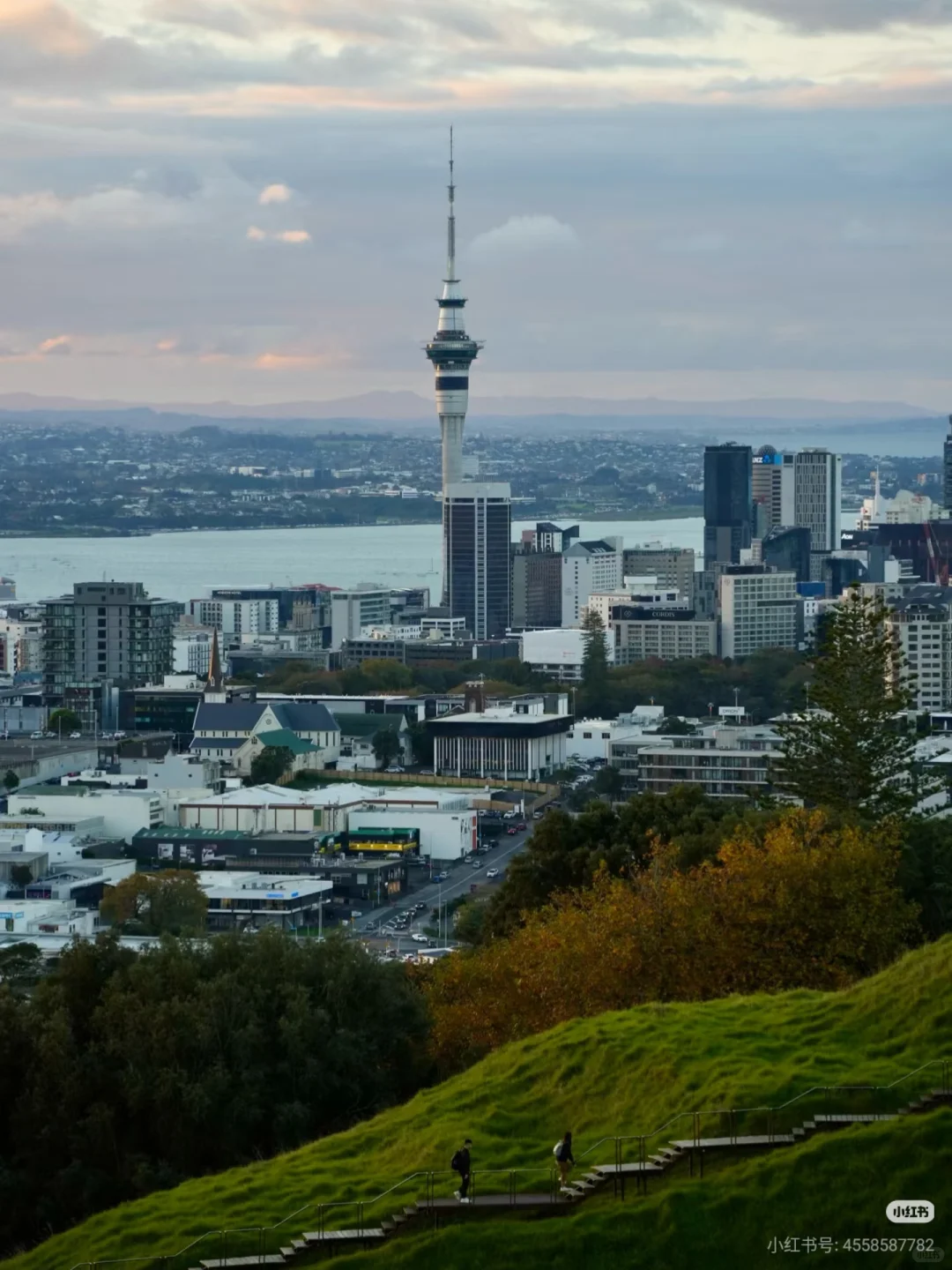 不开车也能去！奥克兰必去6大宝藏景点