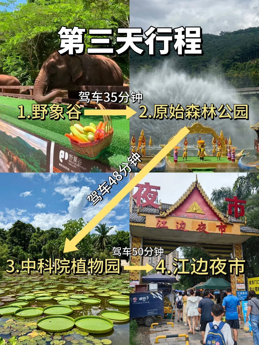 📍西双版纳已回!我的建议是……(全攻略)