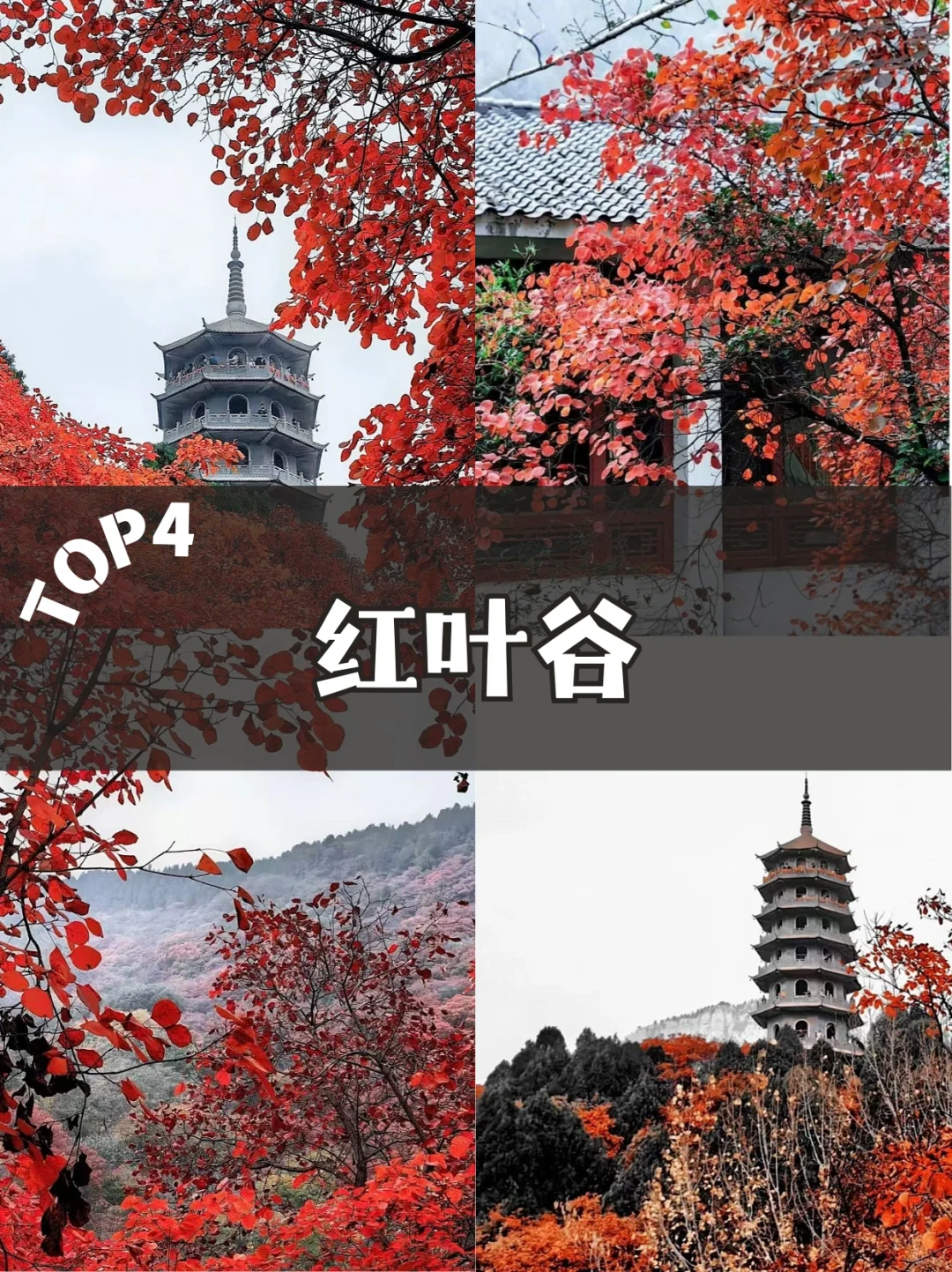 🍂济南秋天必去的 5 个绝美景点！错过等一