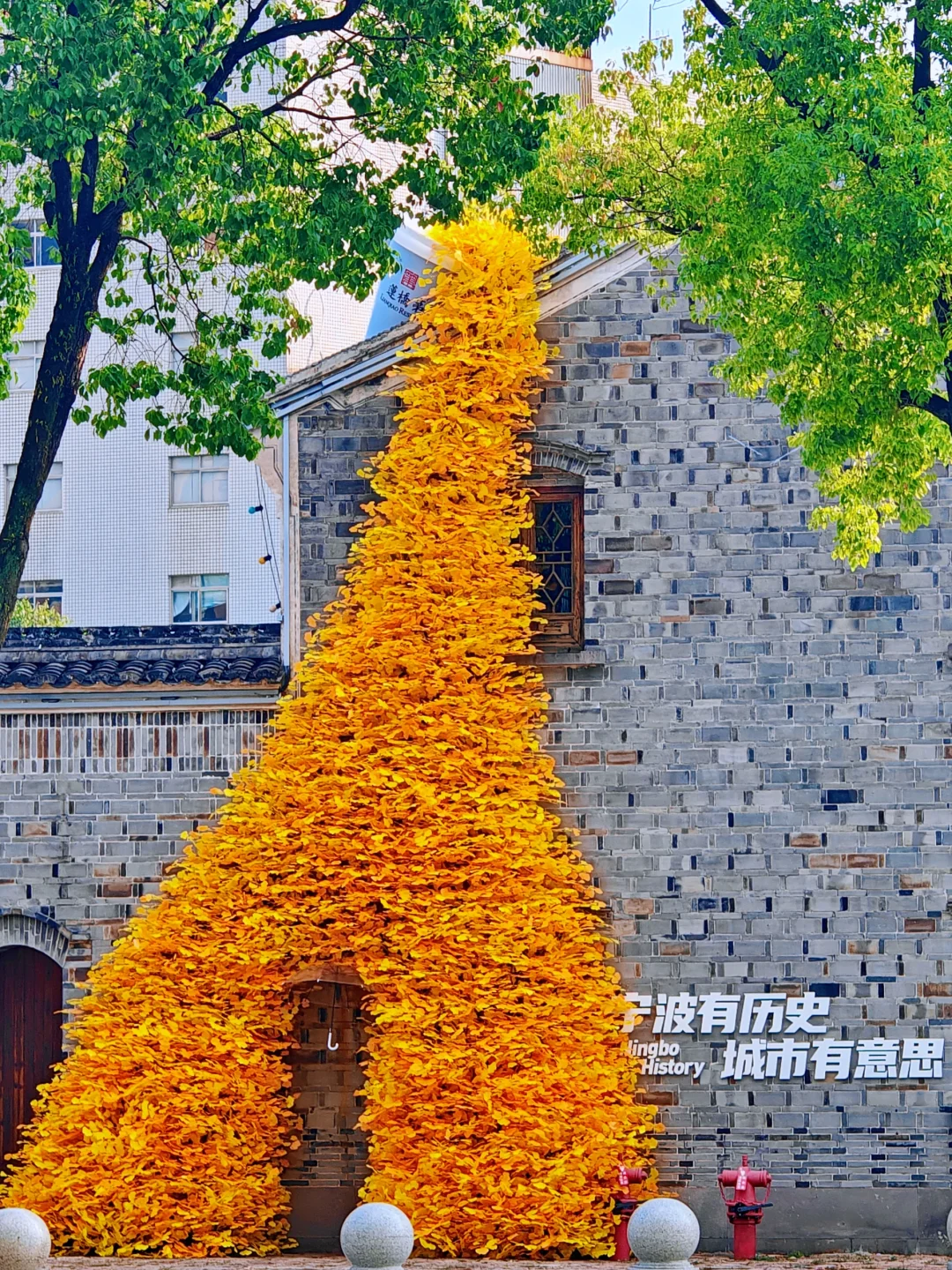 宁波,一个被严重低估的江南宝藏!