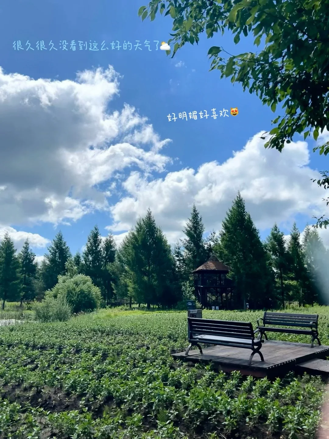 准高一|暑假Gogogo……✈️