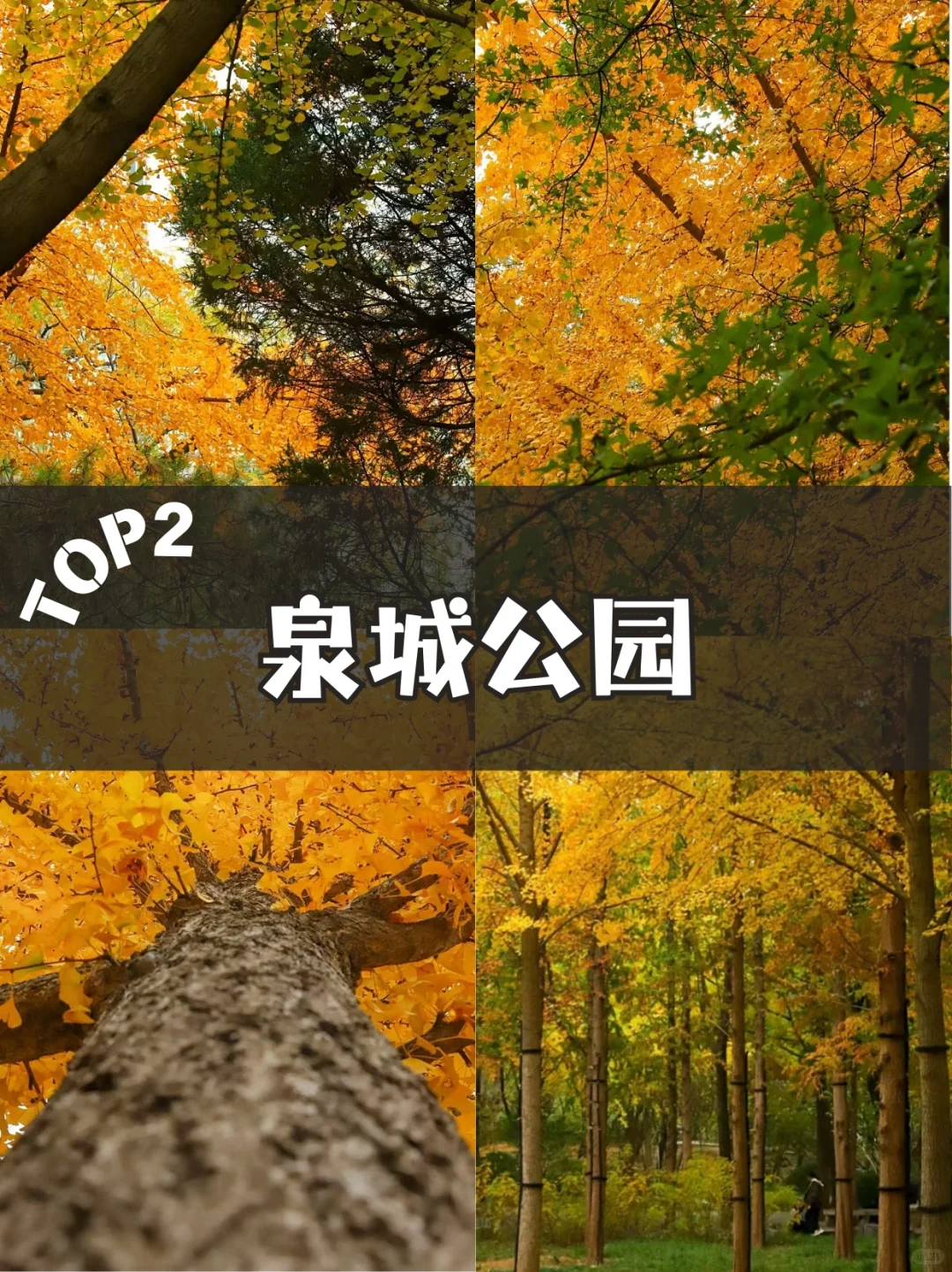 🍂济南秋天必去的 5 个绝美景点！错过等一