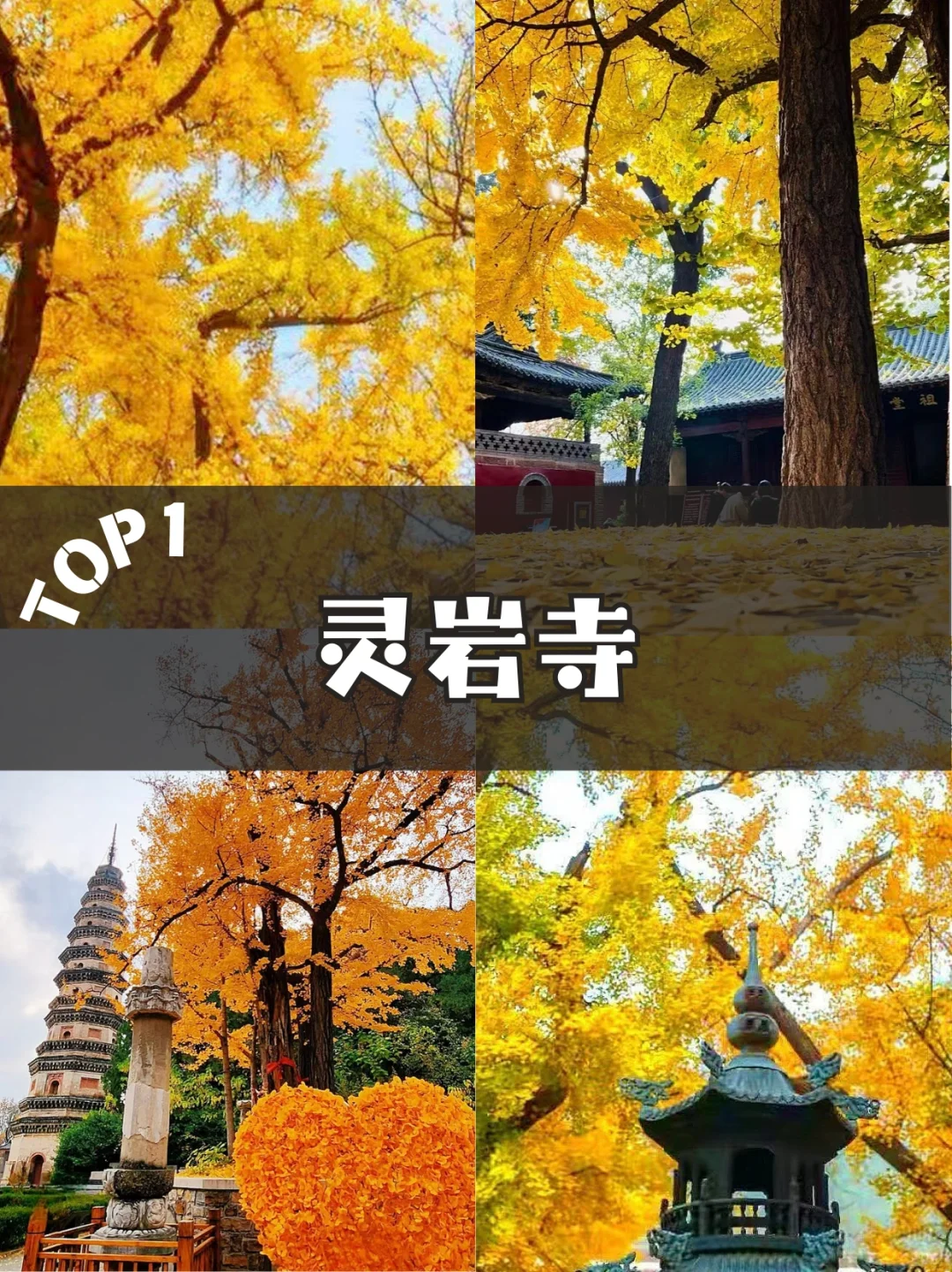 🍂济南秋天必去的 5 个绝美景点！错过等一