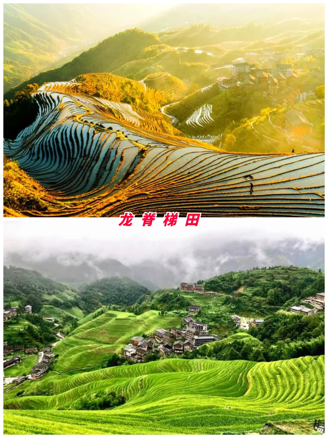 广西旅游第2站 | 桂林最值得去的8个景点‼