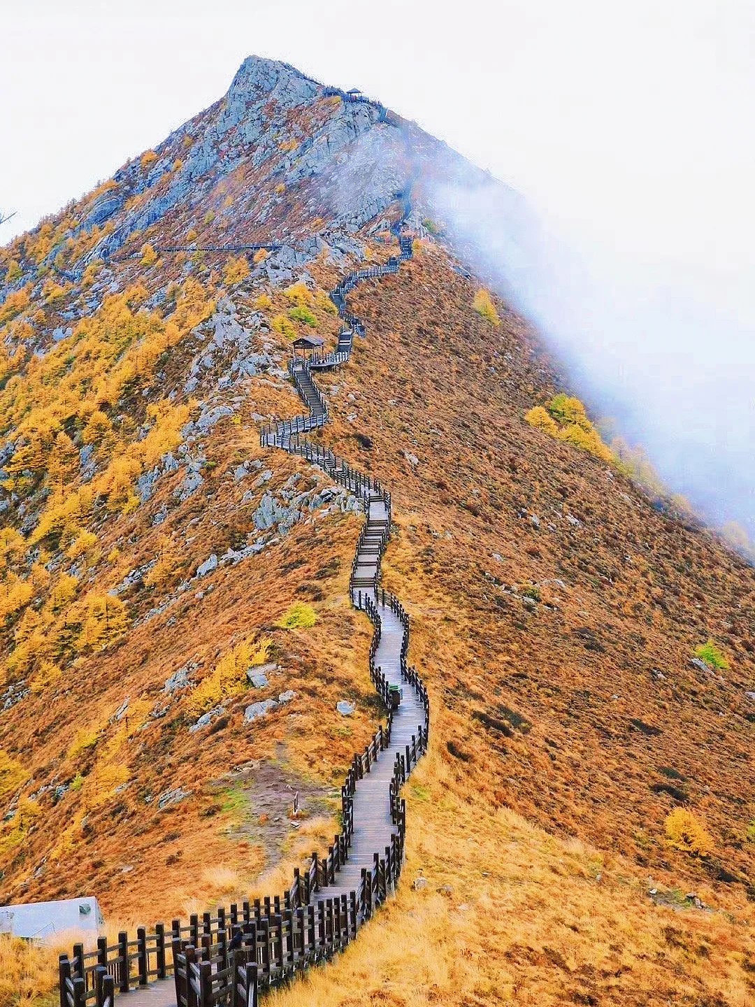 10月太白山赏秋天花板🍁景区1日游玩指南