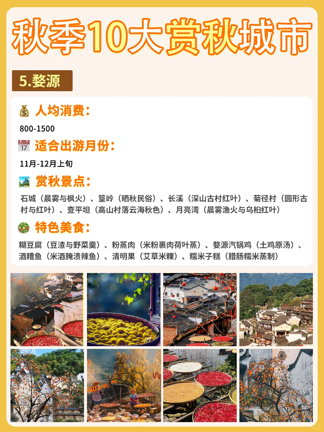 最适配江浙沪宝宝体质的赏秋城市合集来啦❗