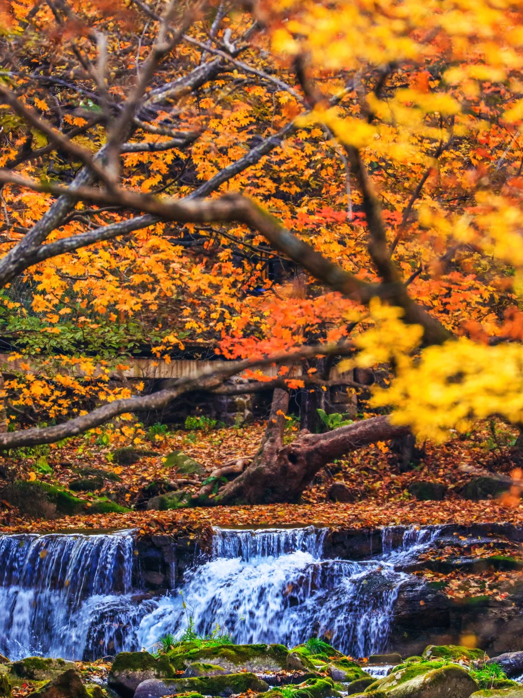 辽宁本溪：看见有人在拍照，原来这不是画