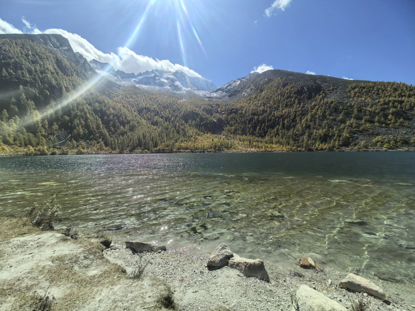 你们猜这是哪儿？