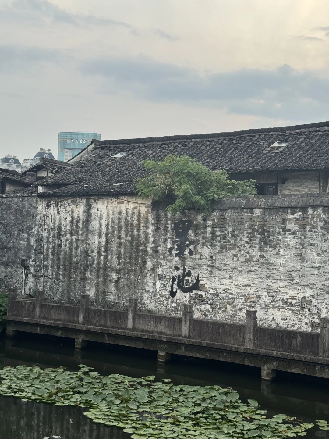 我会为了这里再去一次绍兴,超惬意