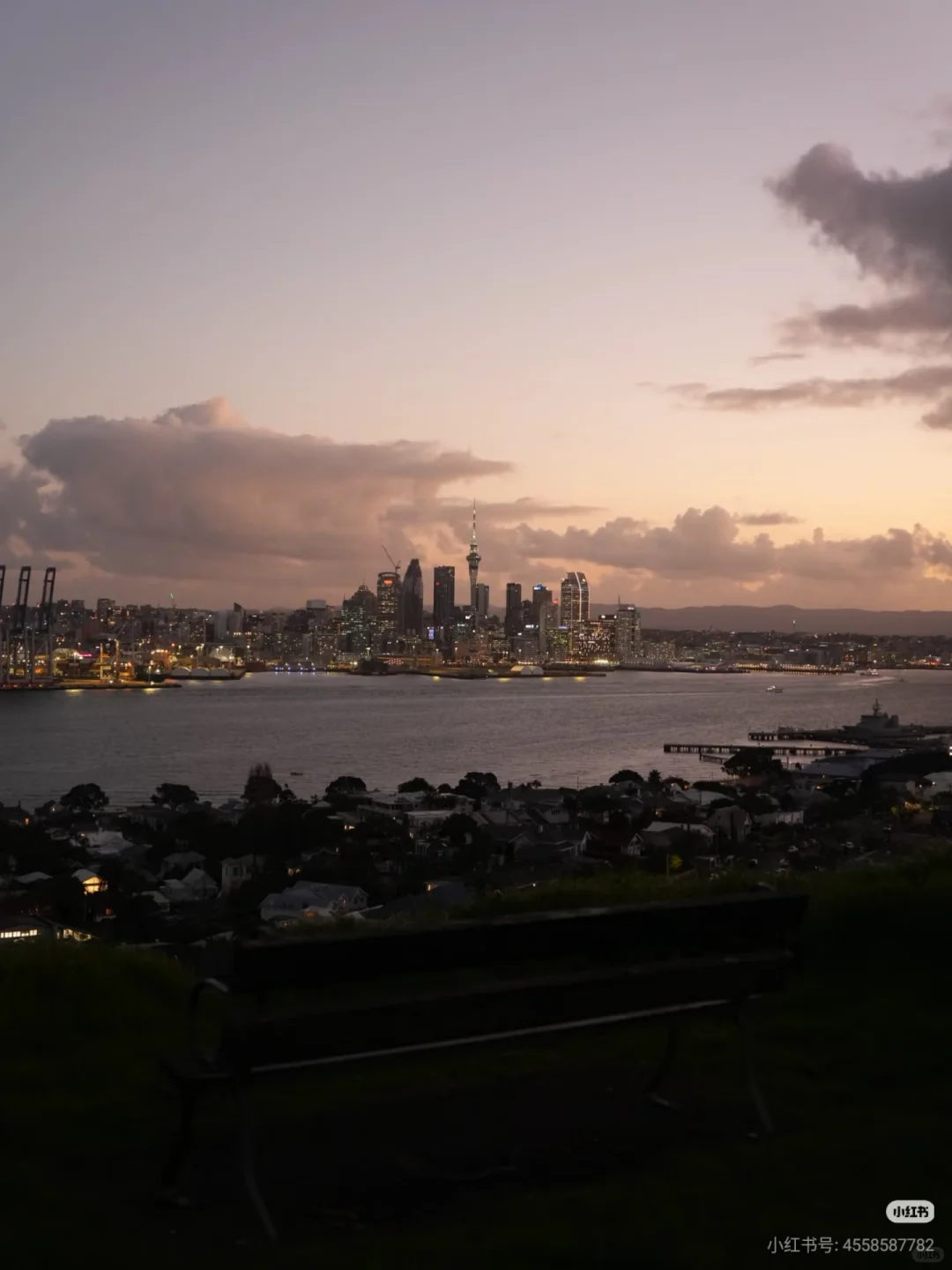 不开车也能去！奥克兰必去6大宝藏景点