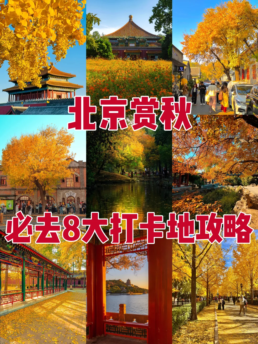 2025北京赏秋8大打卡地！