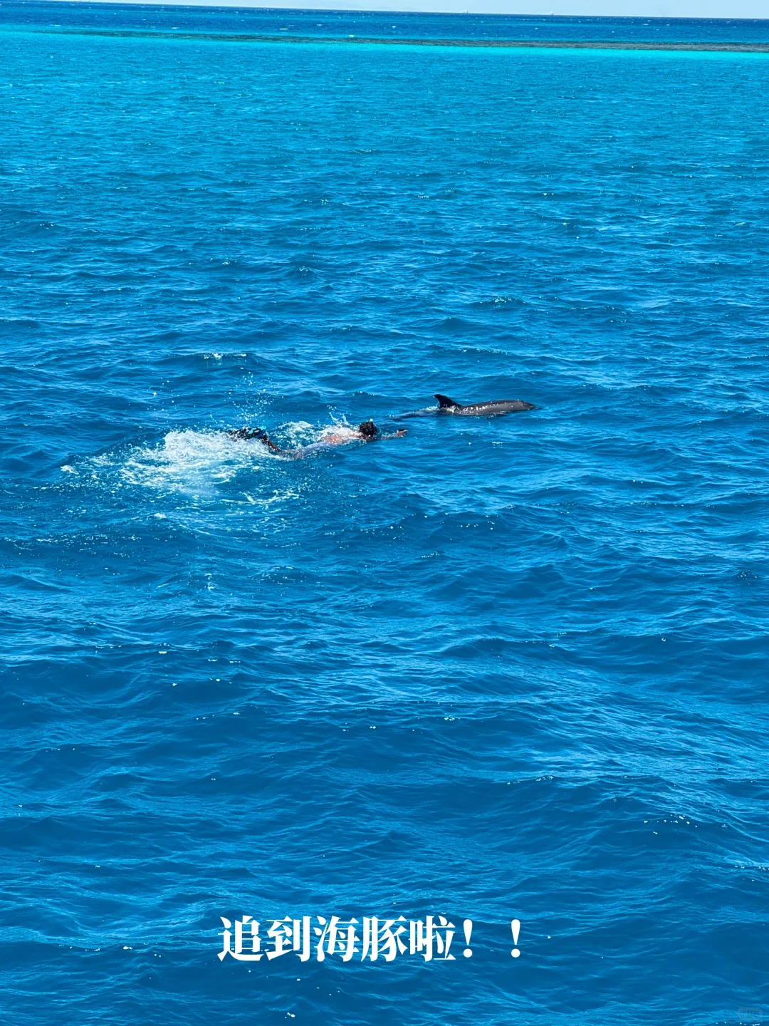 长大真好 可以在小时候课本里的埃及旅居