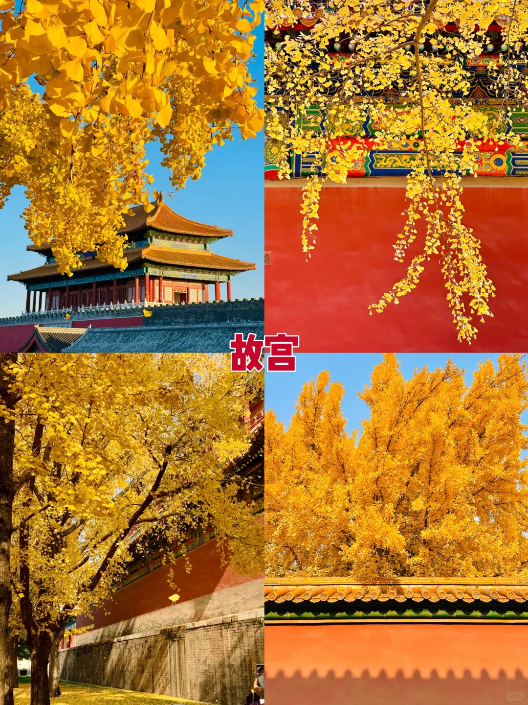 2025北京赏秋8大打卡地！