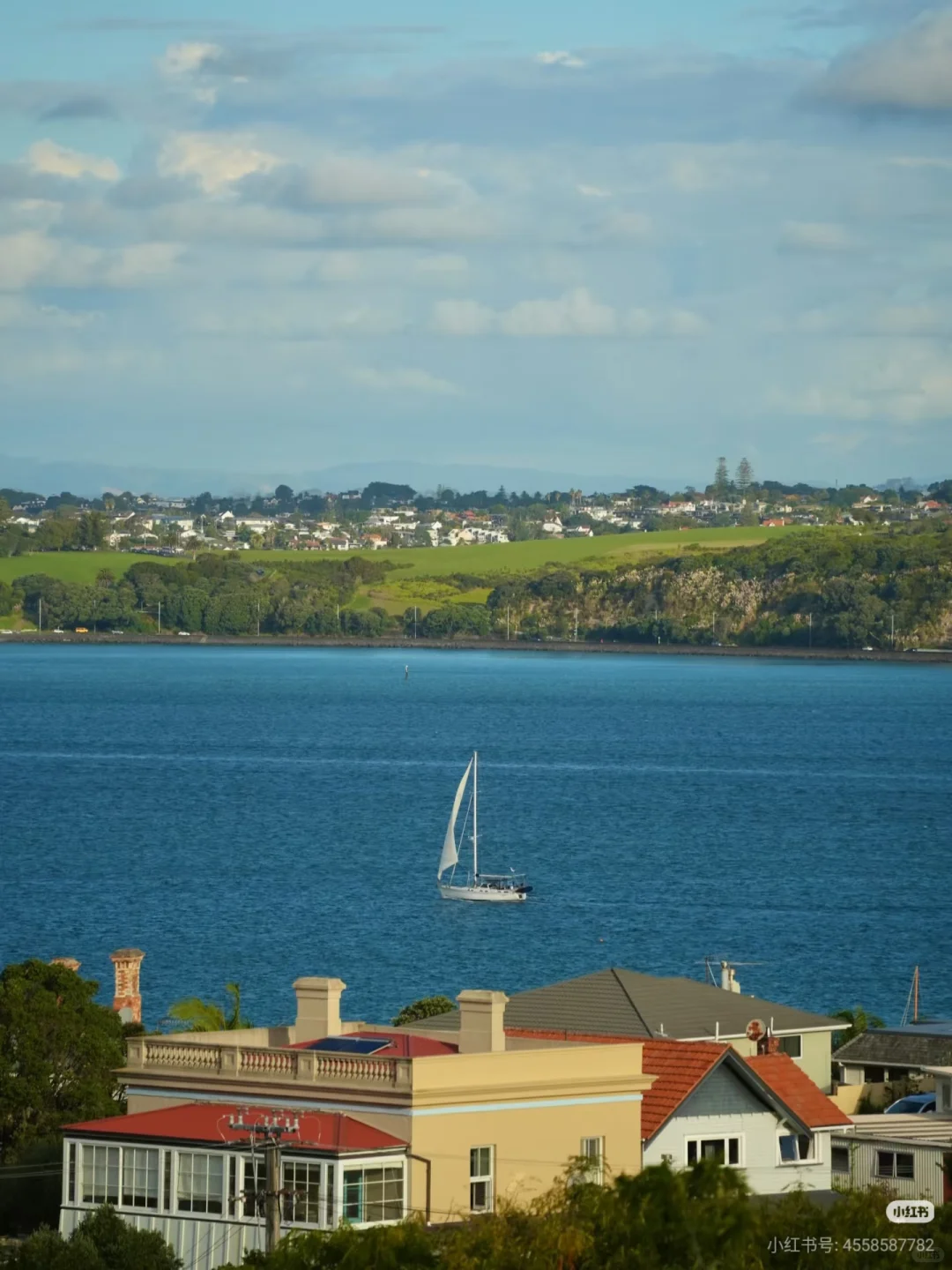 不开车也能去！奥克兰必去6大宝藏景点