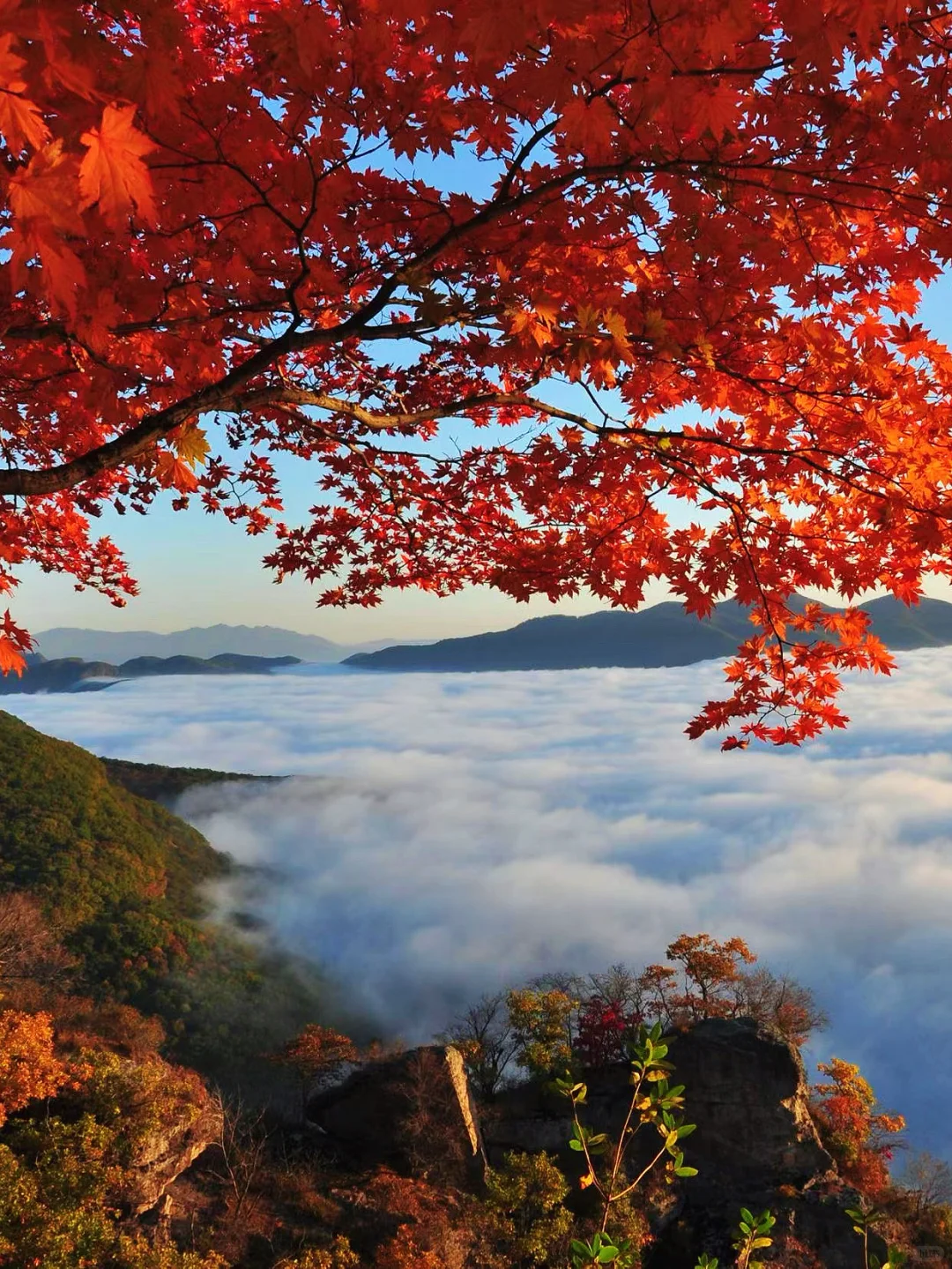 辽宁本溪：看见有人在拍照，原来这不是画