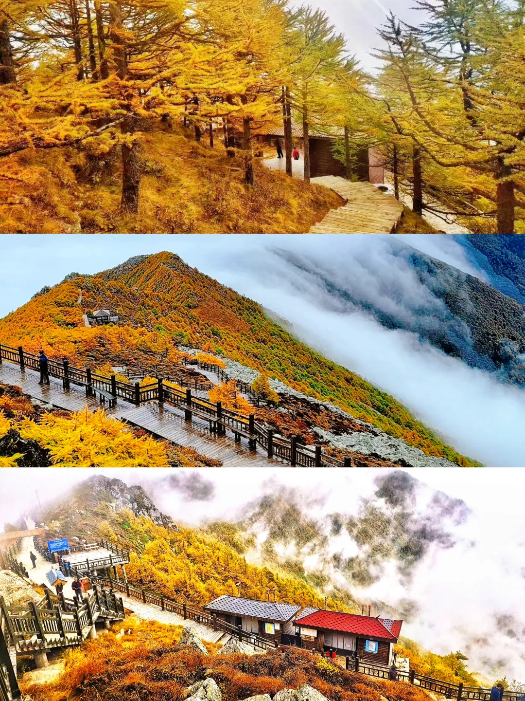 10月太白山赏秋天花板🍁景区1日游玩指南