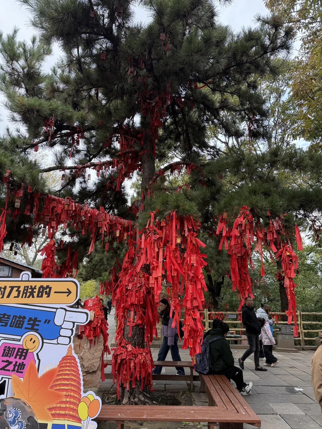 嵩山少林红叶🍁 太美啦！