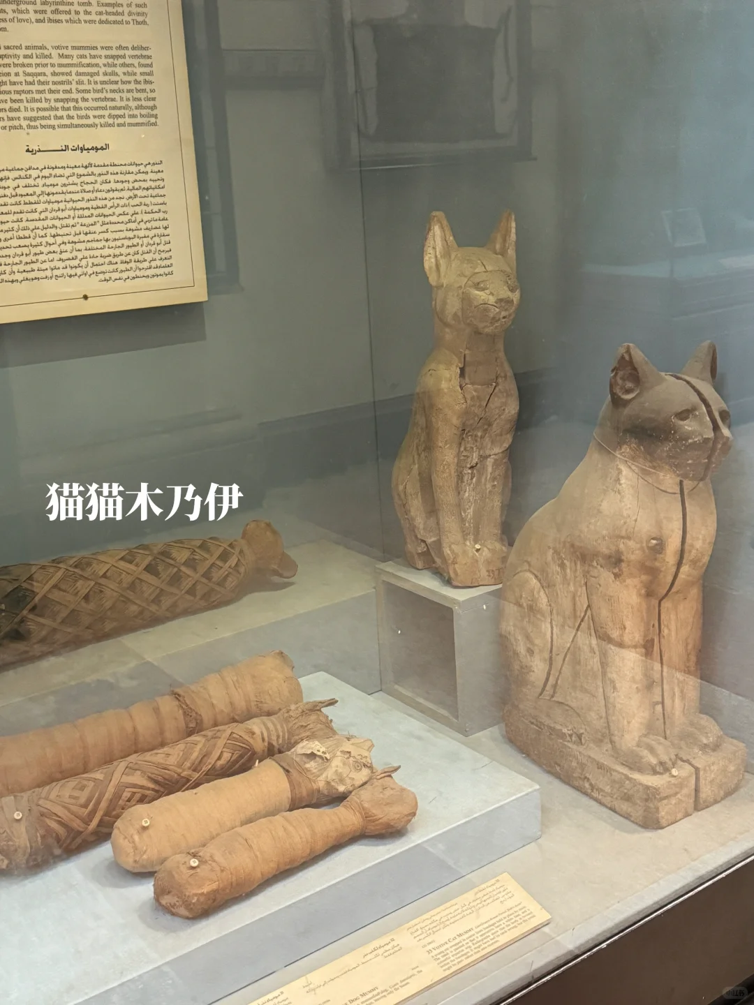 长大真好 可以在小时候课本里的埃及旅居