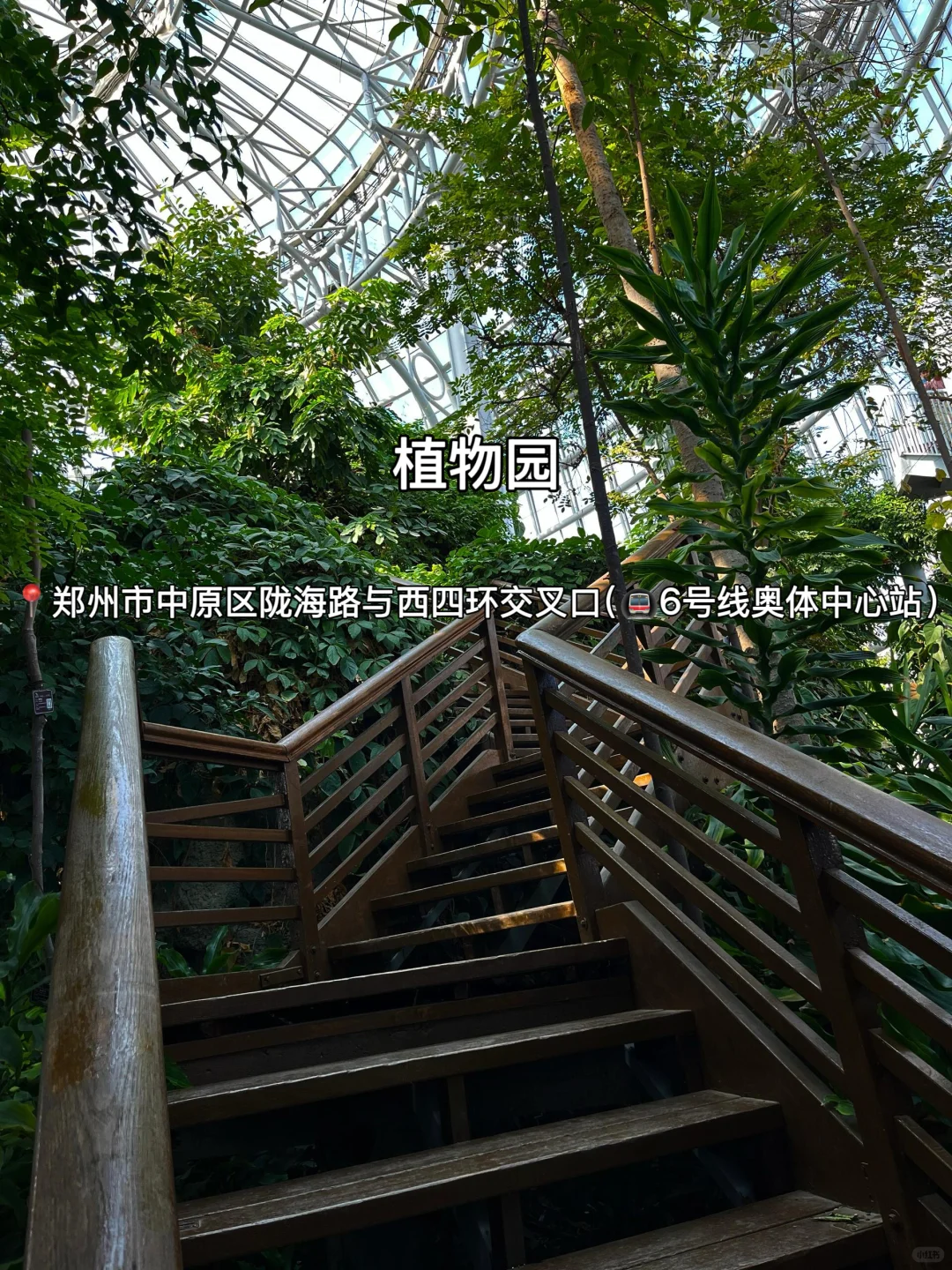 国庆来郑州，地铁直达的20个必打卡地