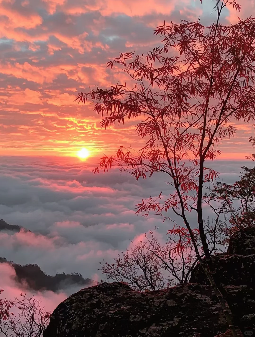 🌅日出云海，仙境之旅🌄