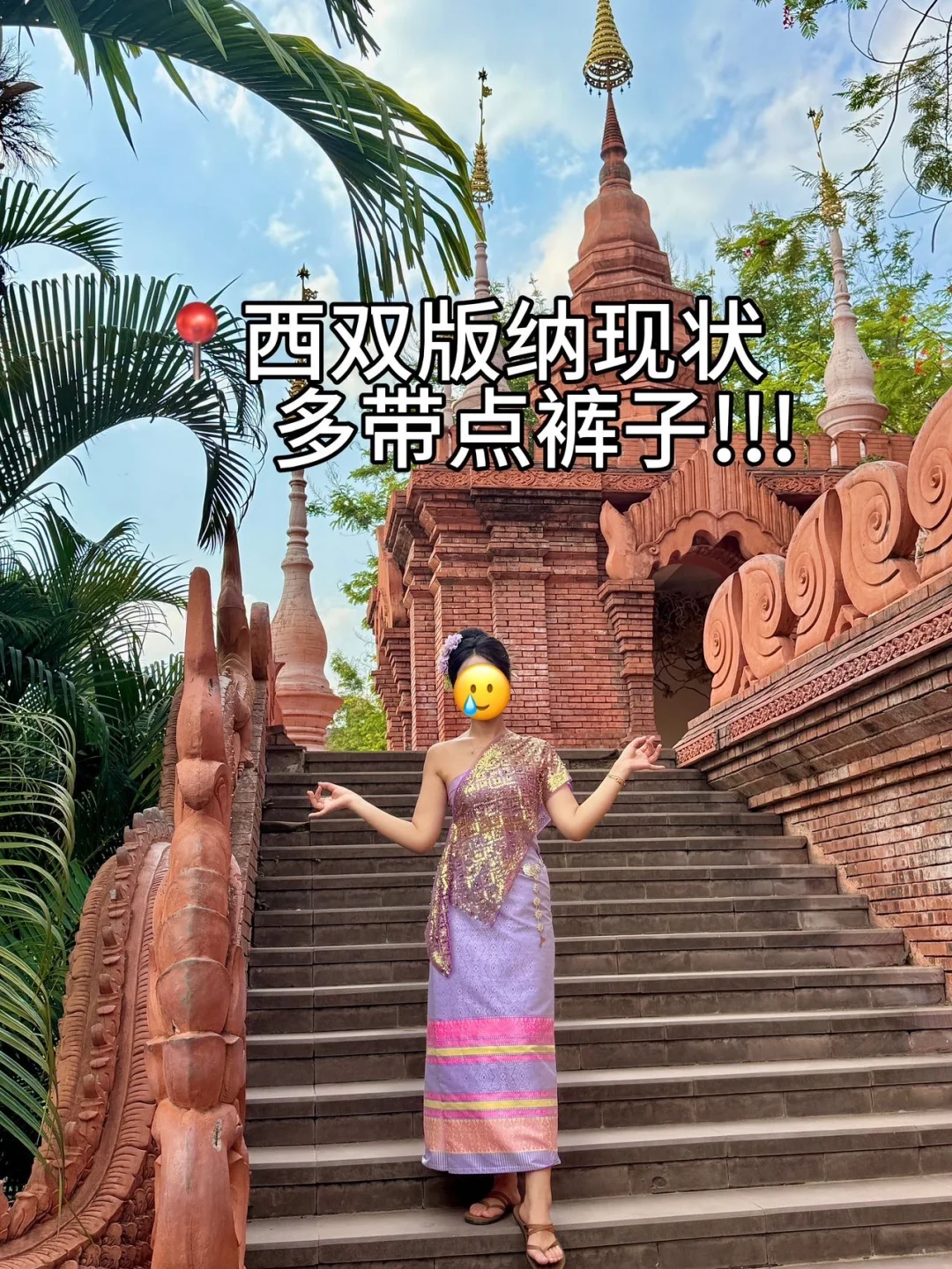 📍西双版纳已回!我的建议是……(全攻略)