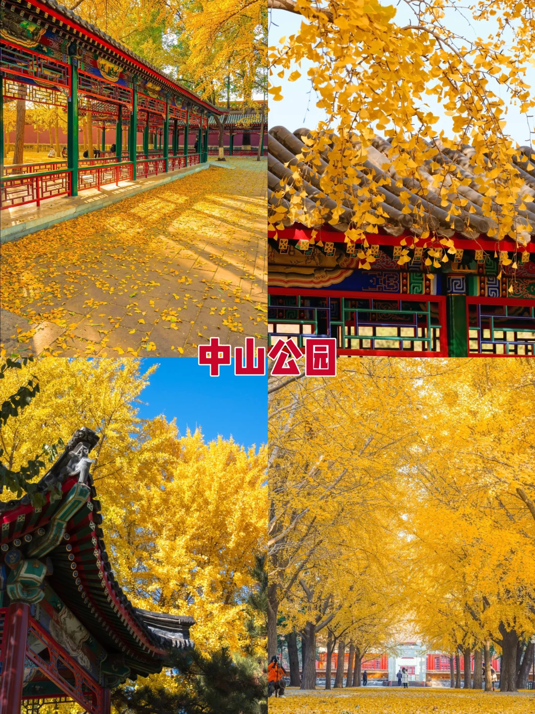 2025北京赏秋8大打卡地！