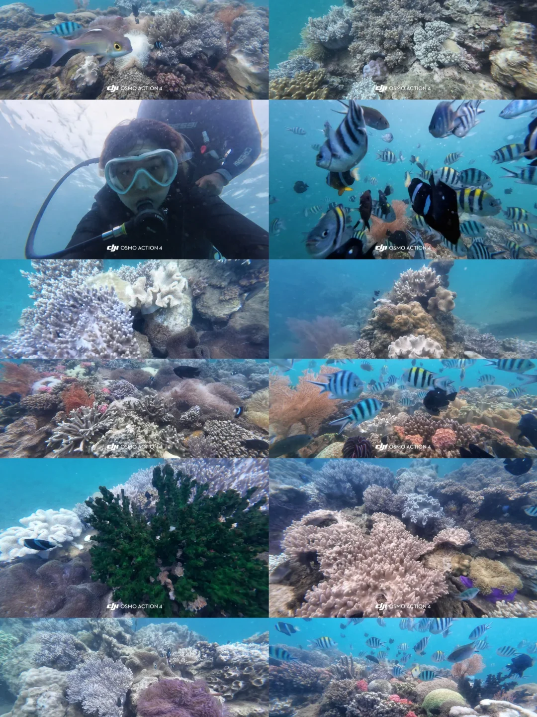 1k多玩出1w的感觉！越南芽庄下次还来！