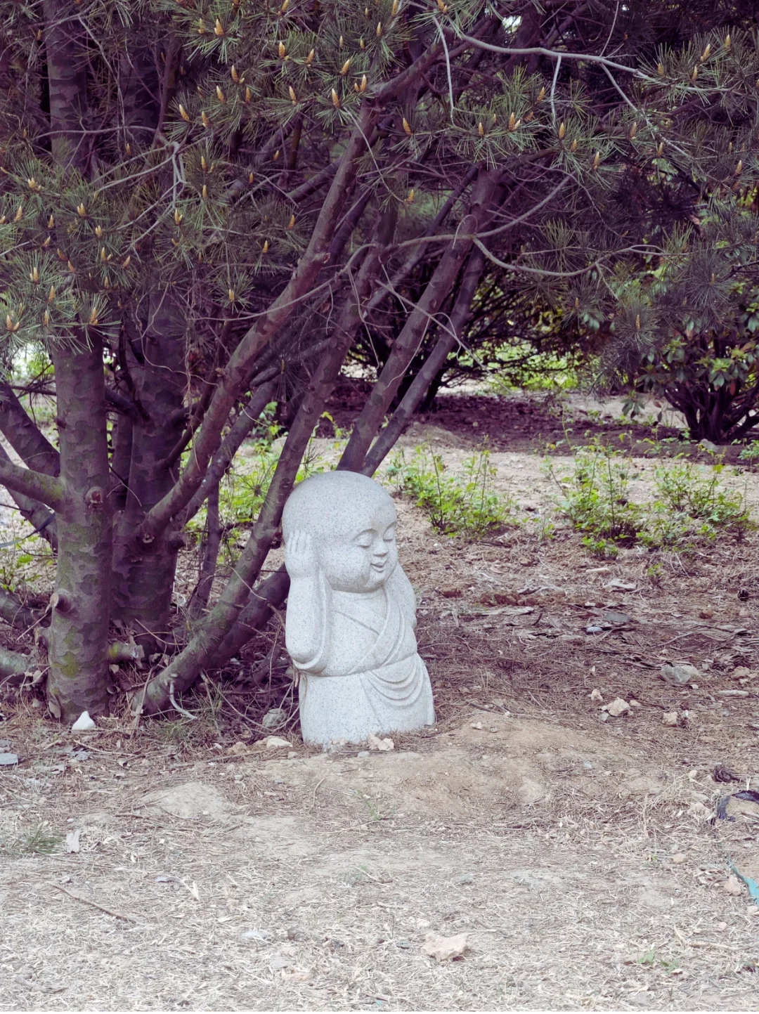 ✨穿越2000年的战国潮玩指南分享