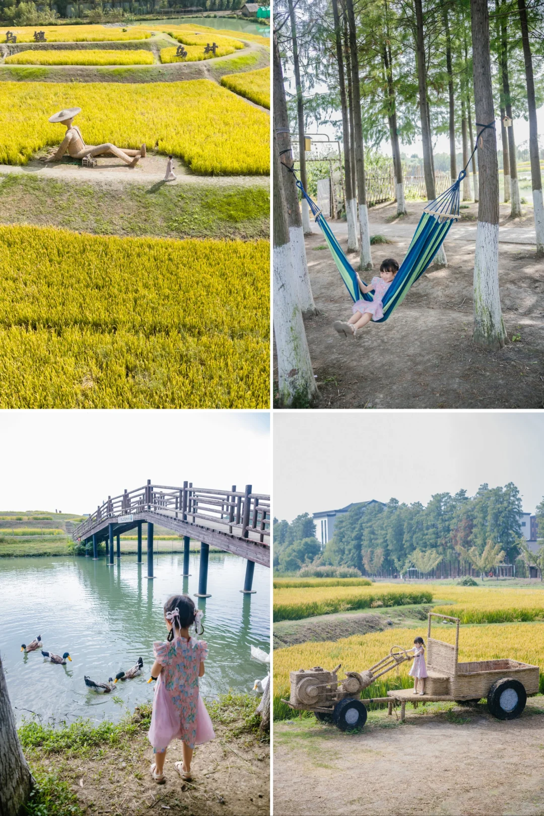 跟着《向往的生活》夜游乌镇❗照抄这条路线