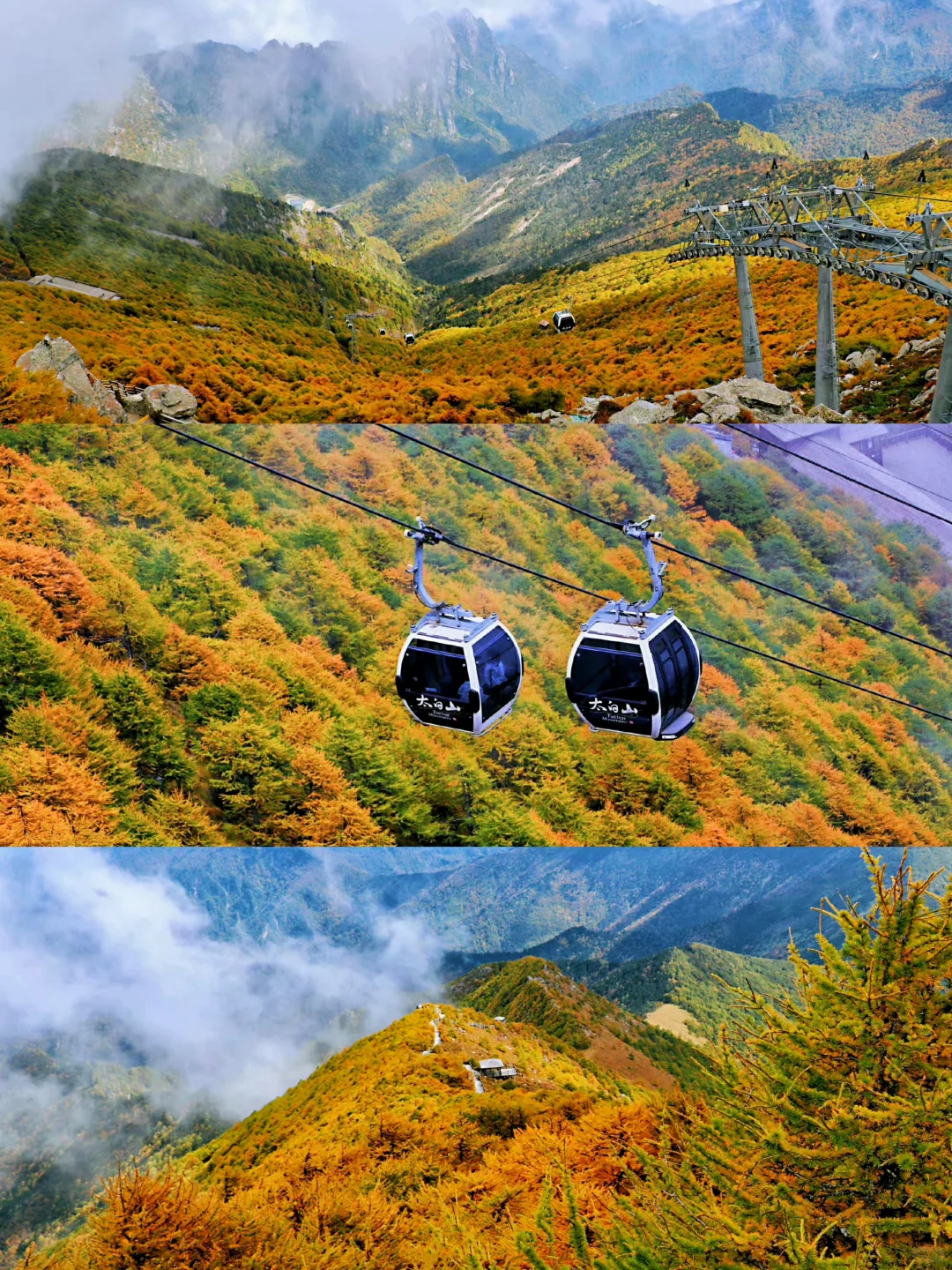 10月太白山赏秋天花板🍁景区1日游玩指南