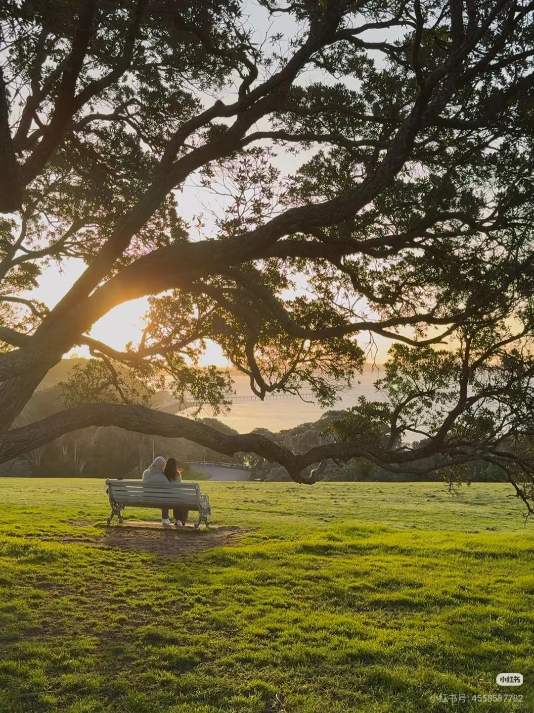 不开车也能去！奥克兰必去6大宝藏景点
