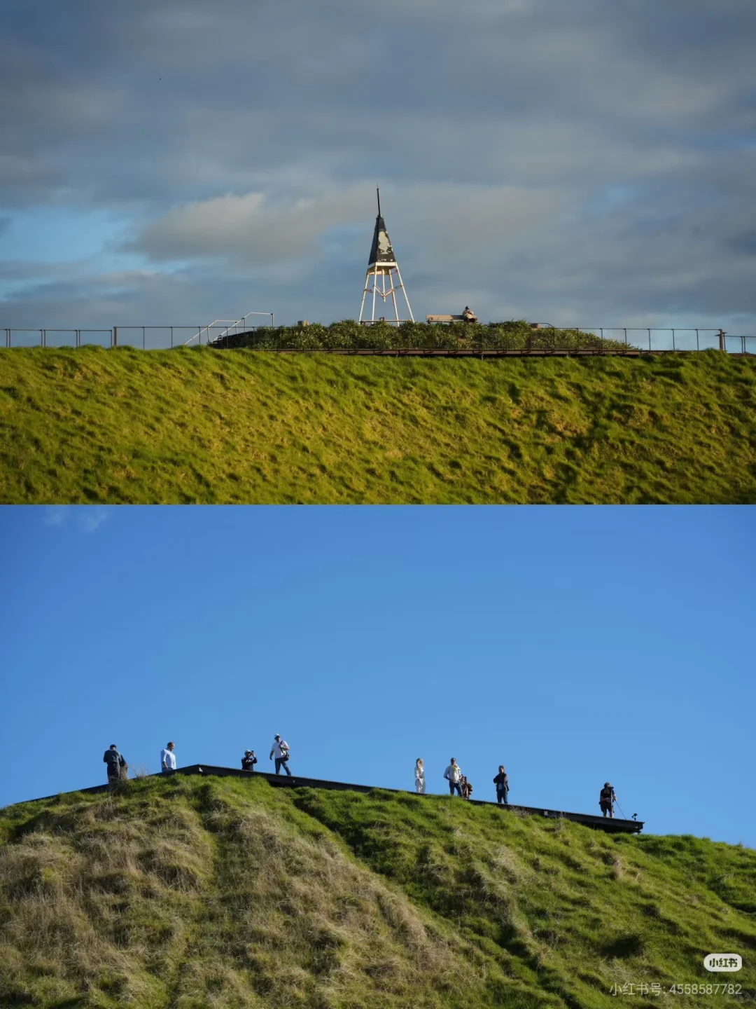 不开车也能去！奥克兰必去6大宝藏景点