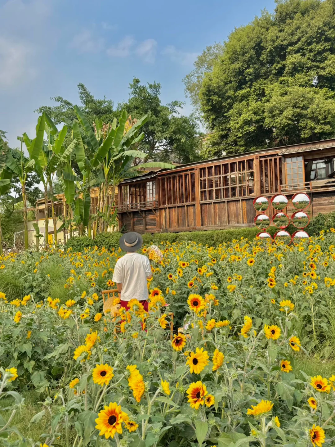 本来以为春熙路已经很好逛了。。。。。。。