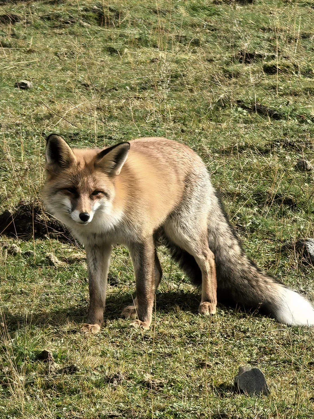 你们猜这是哪儿？