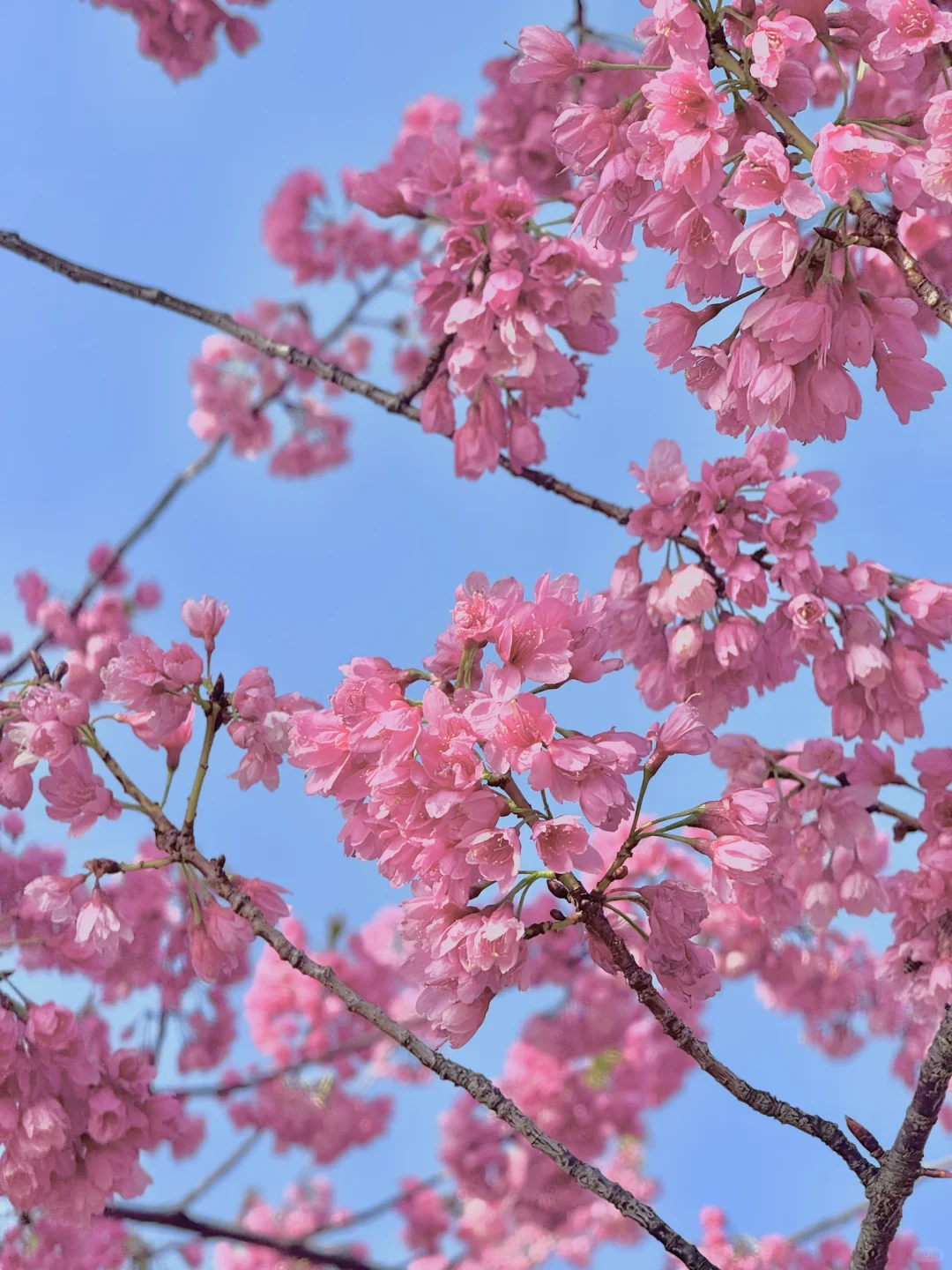 这辈子都舍不得删的live图…