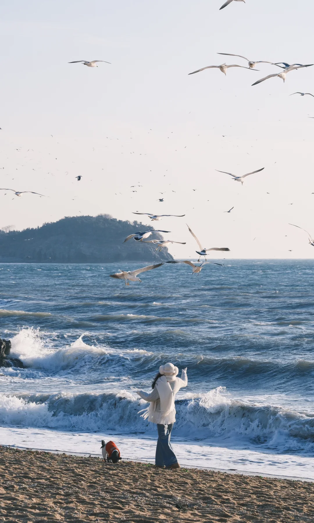 接下来的大连🌊