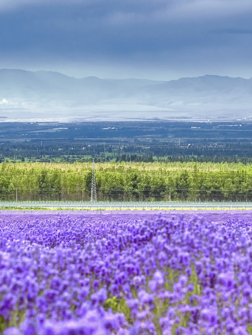 7-8月不去伊犁!就错过了最美的新疆!