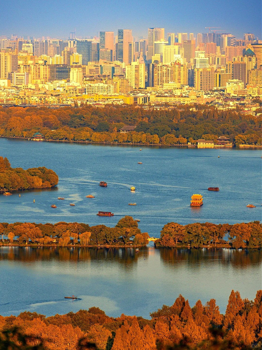 杭州最美的秋景都是免费的🍂附机位！